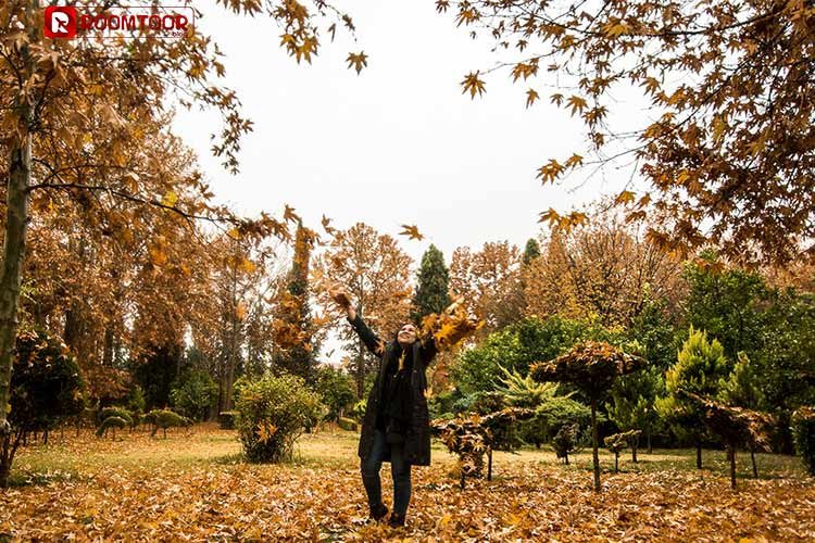 سفر به شیراز در فصل پاییز